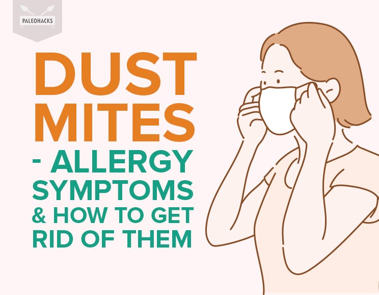 Dust Mites - Allergy Symptoms & How to Get Rid of Them | Health