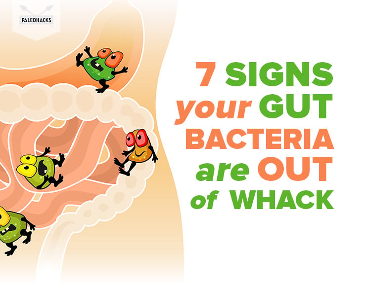 7 Signs Your Gut Bacteria Are Out of Whack 1