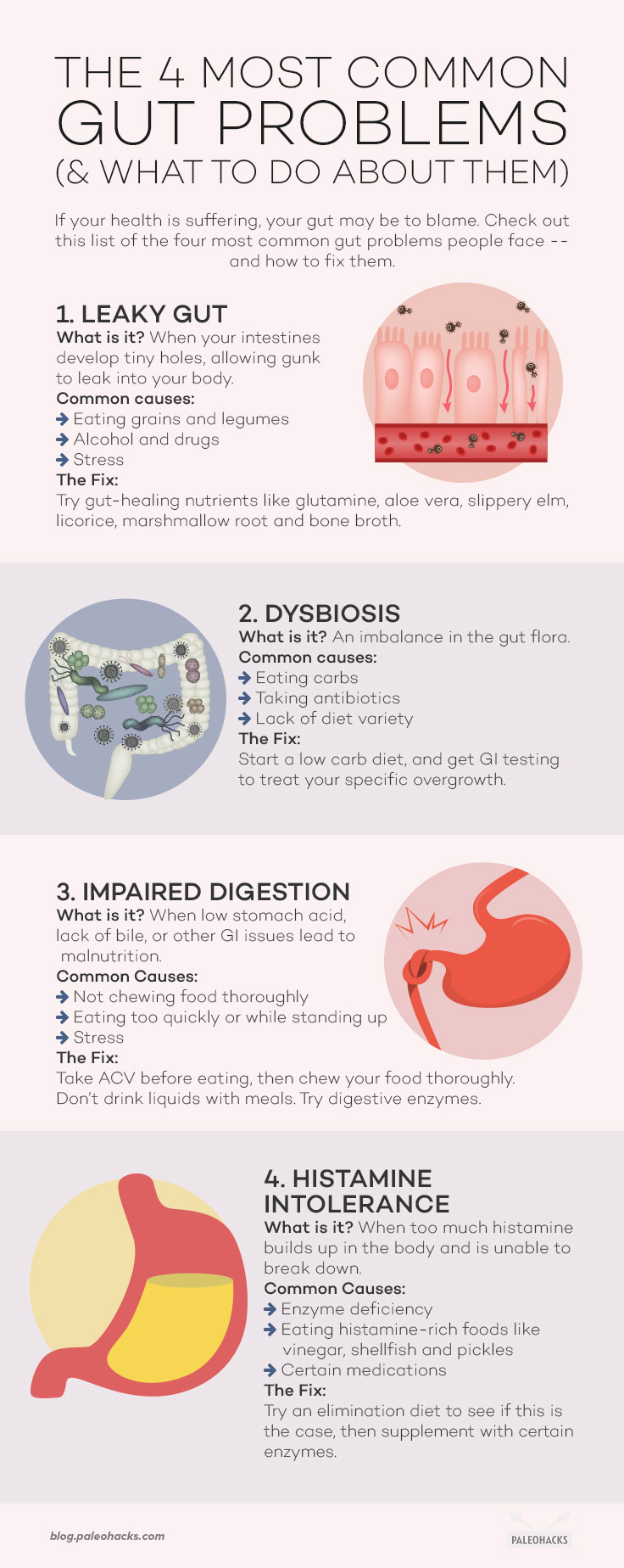 If your health is suffering, your gut may be to blame. Check out this list of the four most common gut problems people face - and how to fix them.