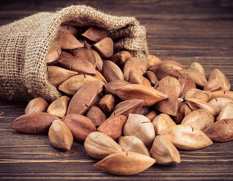 Keto-friendly Pili nuts 