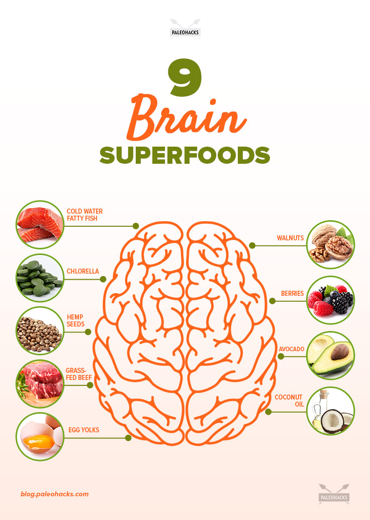 The Best Brain Food to Sharpen Your Memory & Focus | PaleoHacks Blog