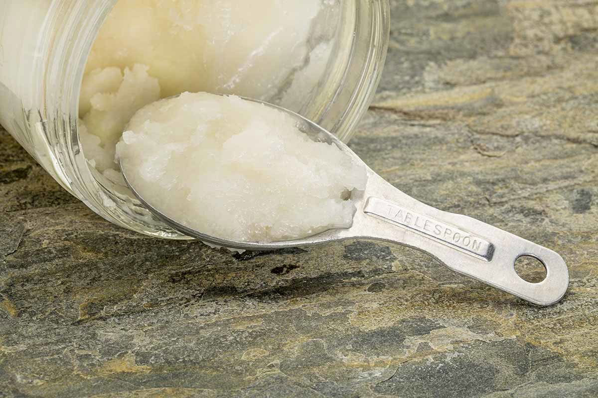 Coconut Oil - Complete Guide 5