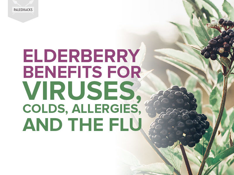 Elderberry is an ancient remedy that’s known for its antiviral properties and its ability to offer immune support to your body.