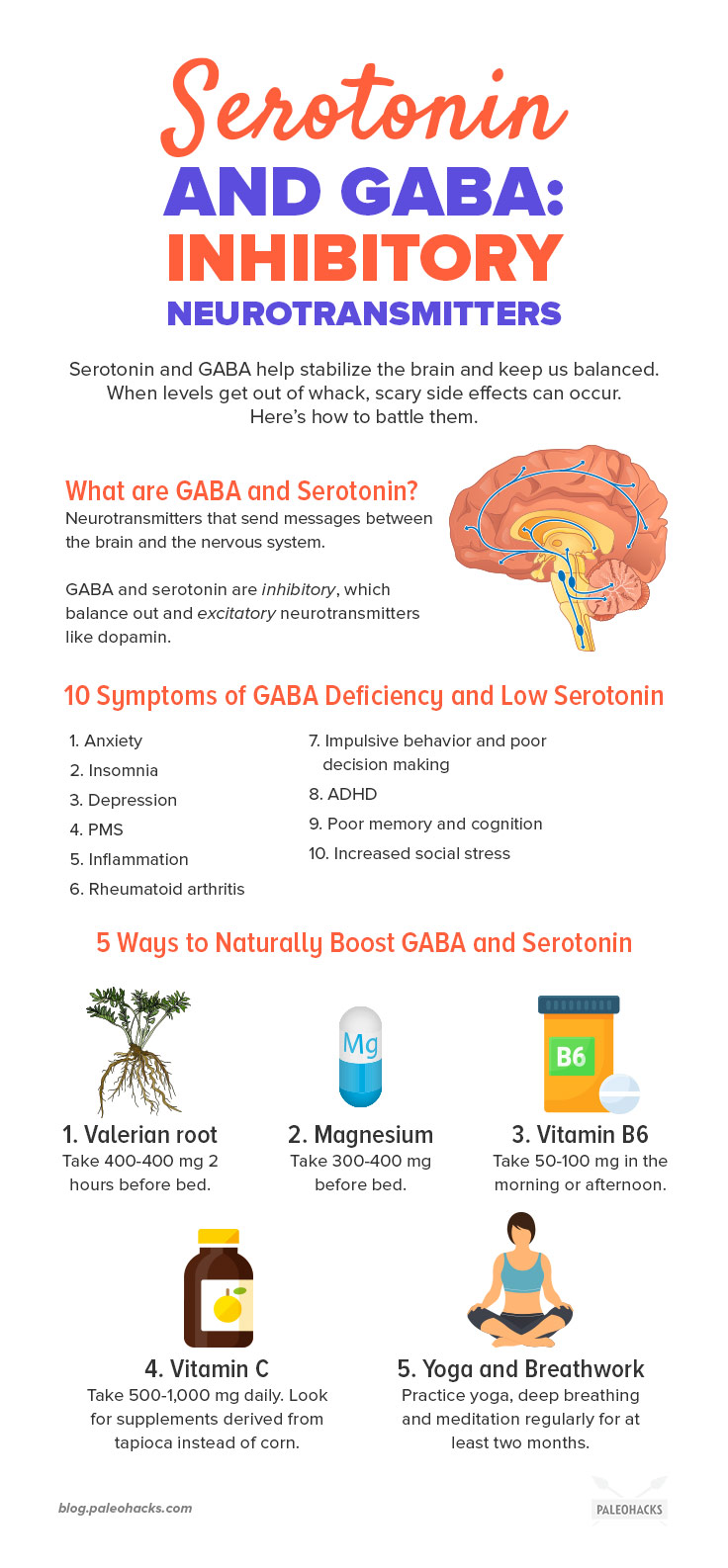 Serotonin And Gaba Inhibitory Neurotransmitters Health